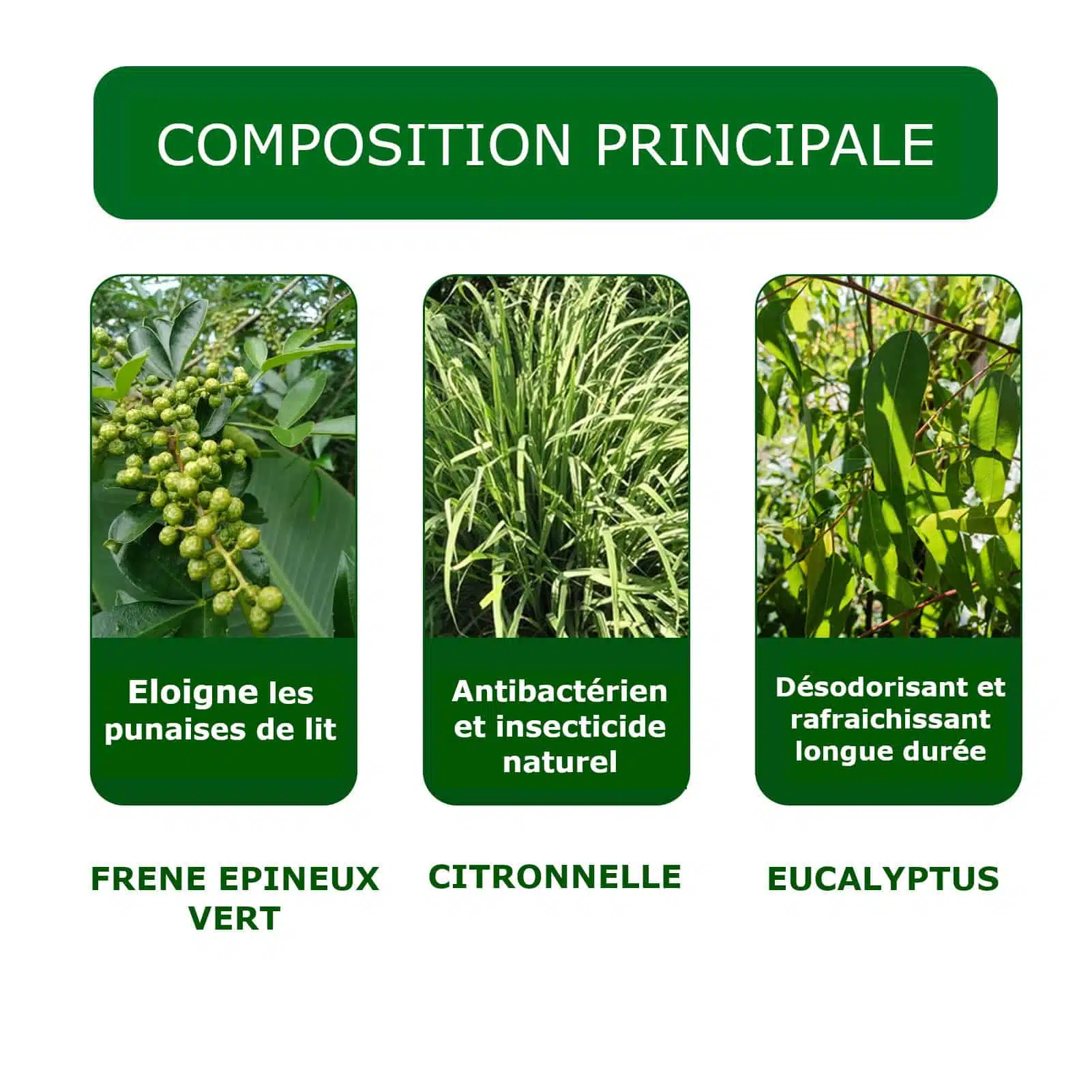 Spray anti punaises de lit et anti bactériens