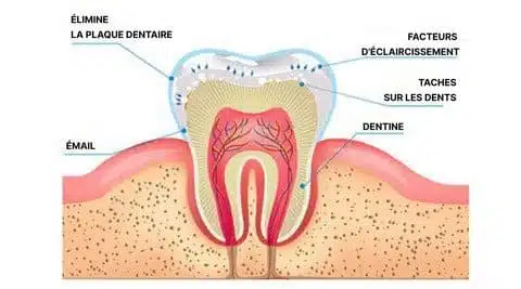 Stylo Blanchisseur de Dents - White Teeth