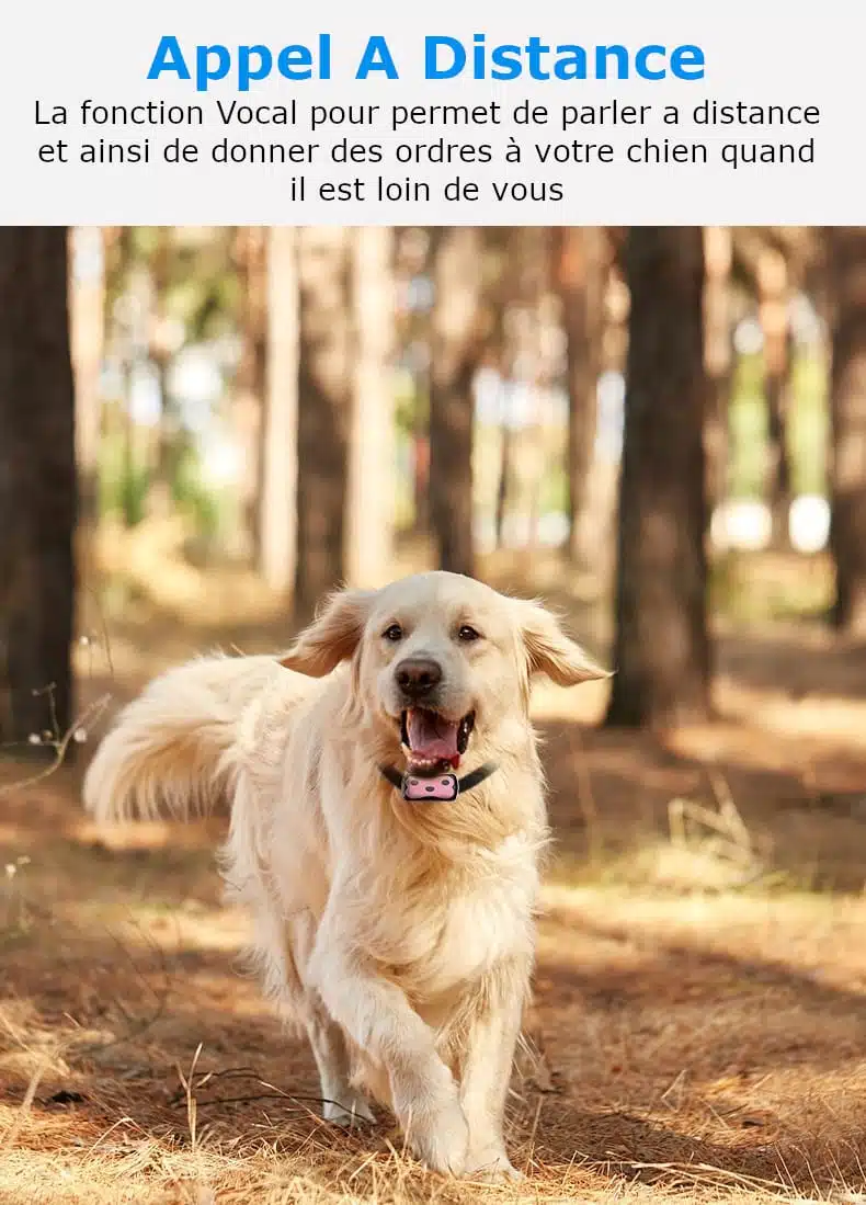 Localizador GPS para perros