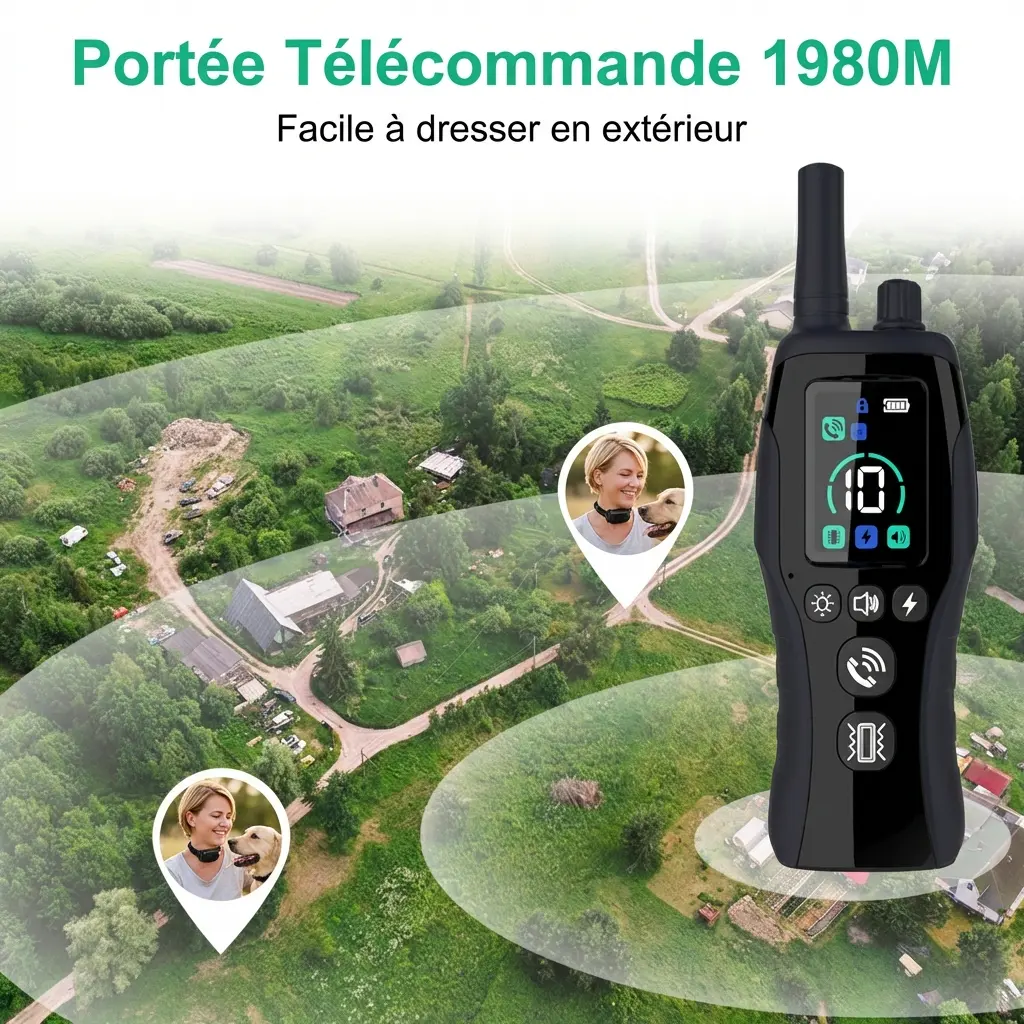 Collier de dressage pour chiens étanche avec radiocommande - portée de 2km