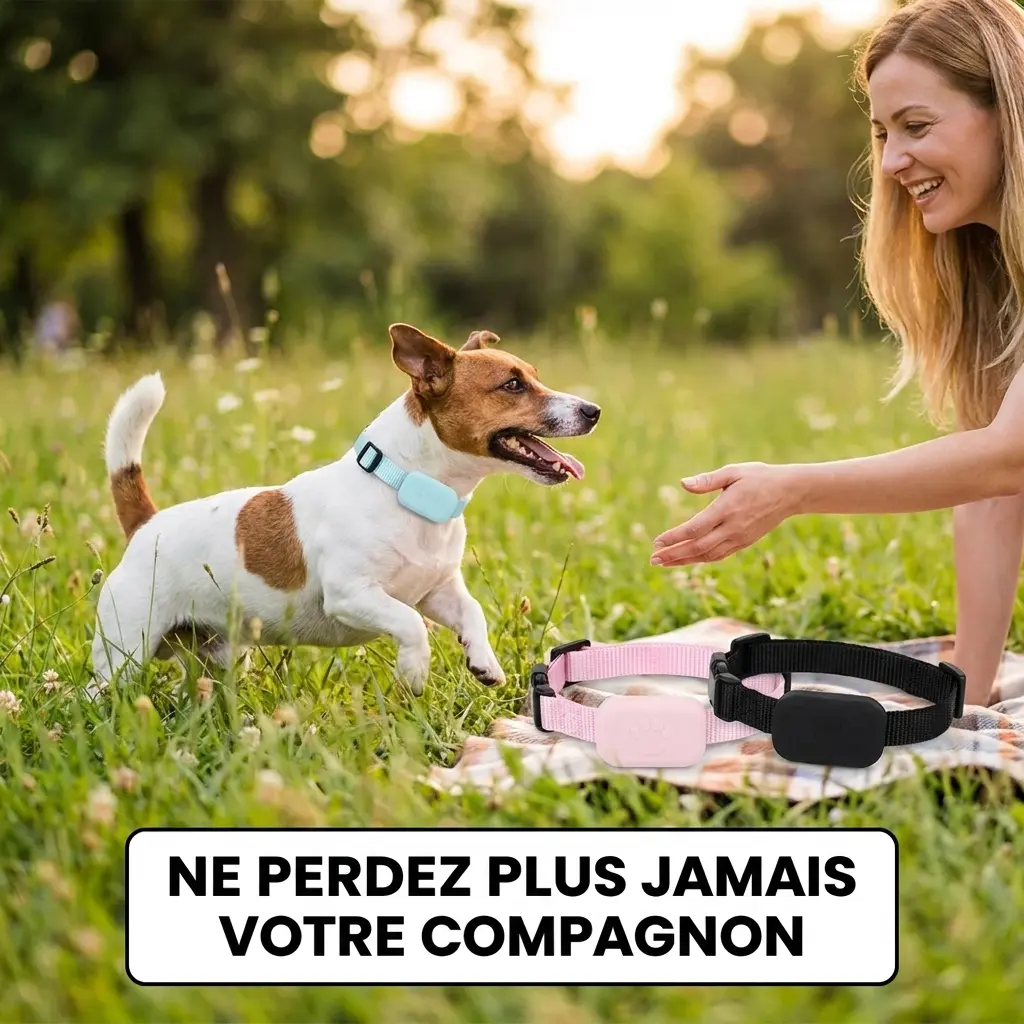 Collier Traceur pour Animaux de Compagnie - suivi temps réel pour Apple