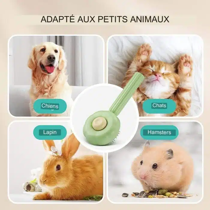 Brosse pour animaux auto nettoyante