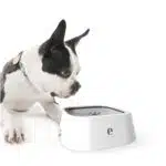 Gamelle à eau Anti Débordement pour chiens et chats 1.5l – Image 6