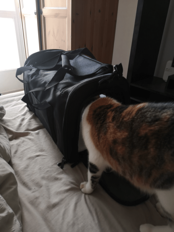 Imagen #2 de Sylvain J