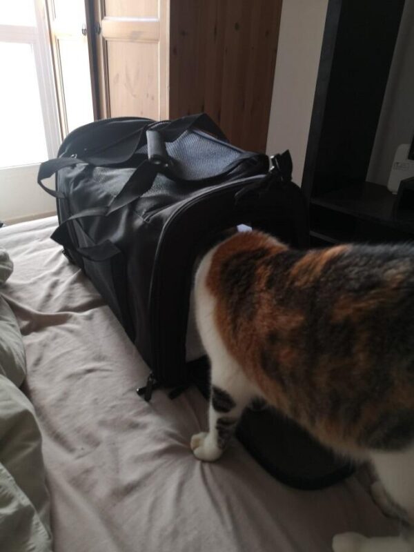 Imagen #1 de Nathalie P