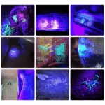 Potente lámpara UV de bolsillo de 21 LED - Imagen 7