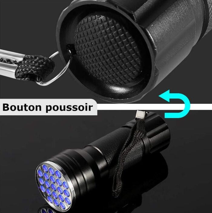 Lampe UV de poche puissante 21 LED