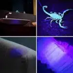 Potente lámpara UV de bolsillo de 21 LED - Imagen 14