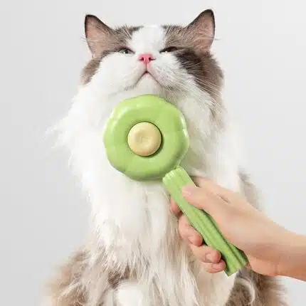 Brosse pour animaux auto nettoyante
