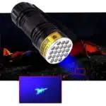 Potente lámpara UV de bolsillo de 21 LED - Imagen 16