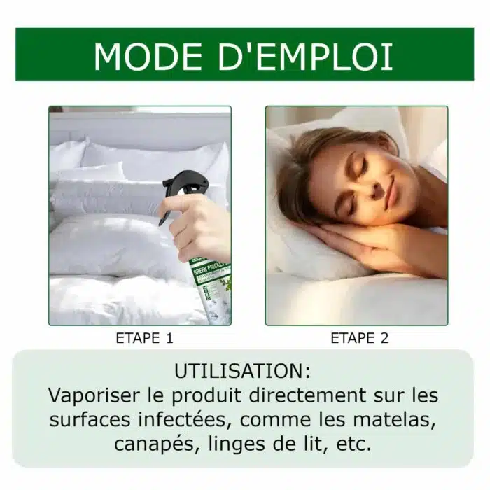 Spray anti punaises de lit et anti bactériens