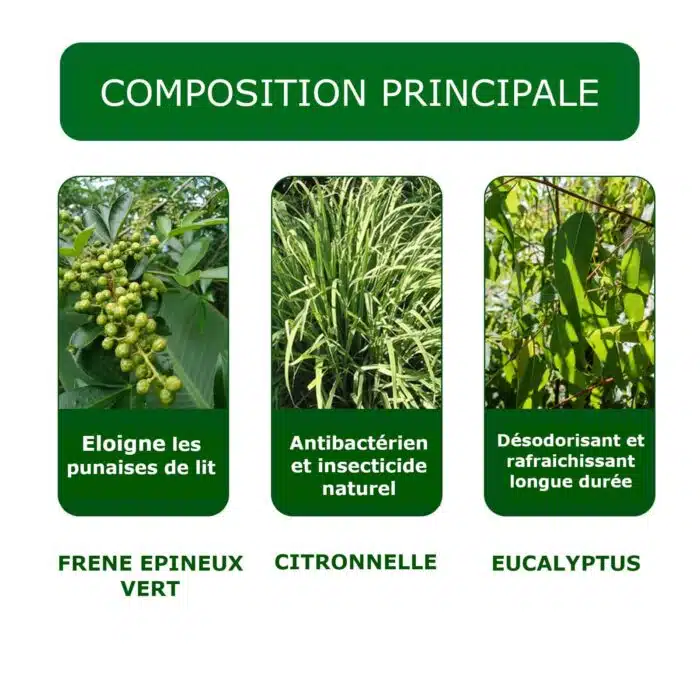 Spray anti punaises de lit et anti bactériens – Image 9