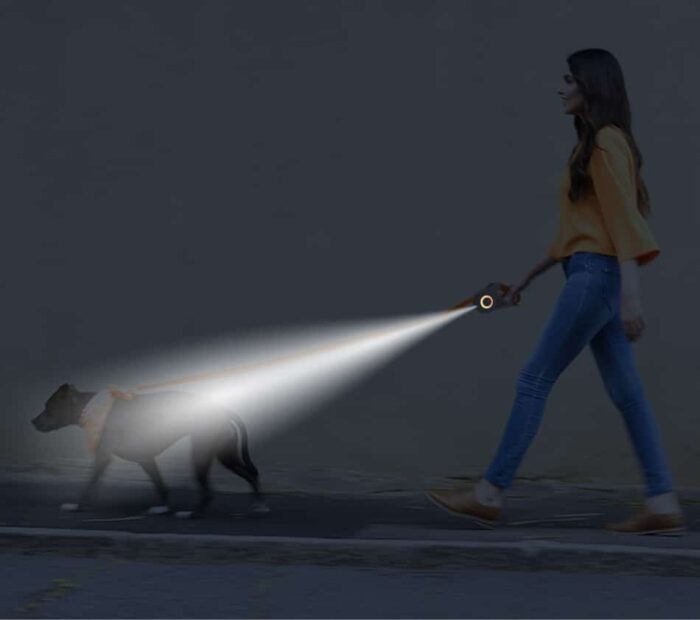 Laisse pour chiens rétractable lumineuse LED 5m
