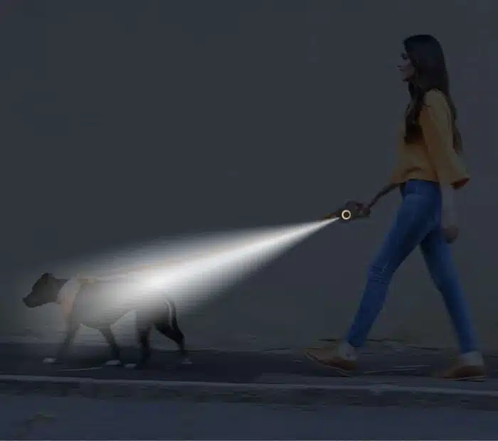 Laisse pour chiens rétractable lumineuse LED 5m
