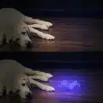 Potente lámpara UV de bolsillo de 21 LED - Imagen 3