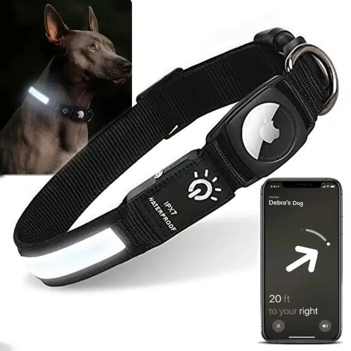 Collier de localisation lumineux pour chiens