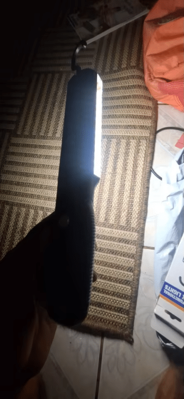 Image #1 de Dominique