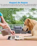 Localizador GPS para Perros | Collar de Seguimiento - Imagen 14
