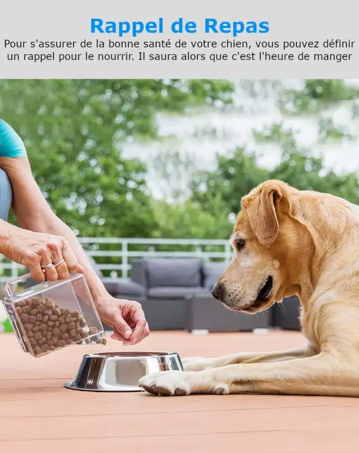 Traceur GPS pour Chiens | Collier de Localisation – Image 14