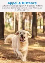 Localizador GPS para Perros | Collar de Seguimiento - Imagen 5