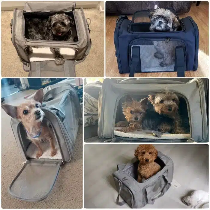 Sac de Transport pour chiens et chats confortable – Image 9