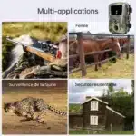 Caméra HD Vision Nocturne Infrarouge pour suivi animaux