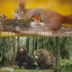 Caméra HD Vision Nocturne Infrarouge pour suivi animaux