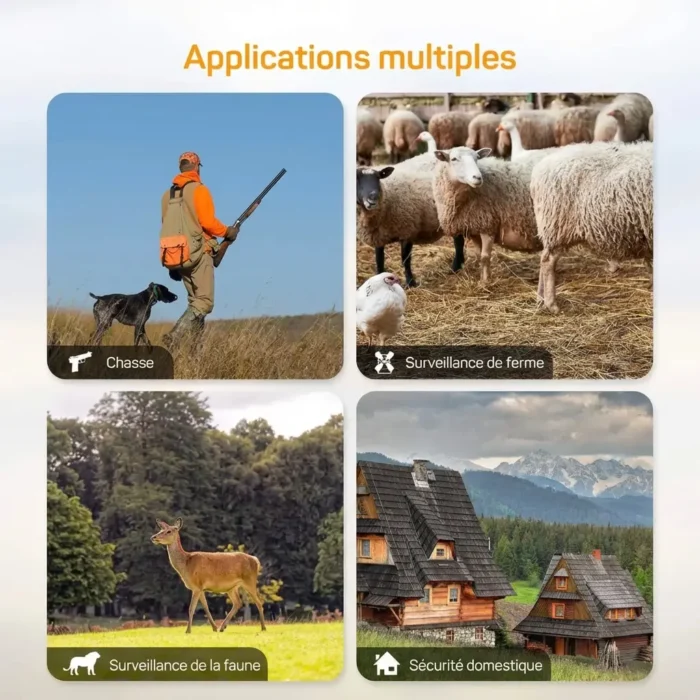 Caméra HD Vision Nocturne Infrarouge pour suivi animaux