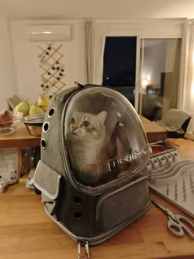 Image #1 de Chloé D