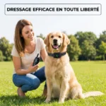 Collier de dressage pour chiens étanche avec radiocommande - portée de 2km