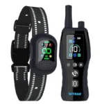 Collier de dressage pour chiens étanche avec radiocommande - portée de 2km