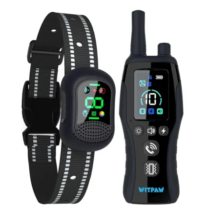 Collier de dressage pour chiens étanche avec radiocommande - portée de 2km