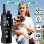 Collier de dressage pour chiens étanche avec radiocommande - portée de 2km