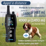 Collier de dressage pour chiens étanche avec radiocommande - portée de 2km