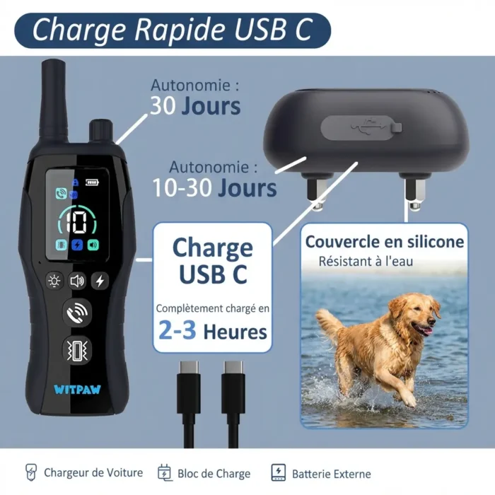 Collier de dressage pour chiens étanche avec radiocommande - portée de 2km