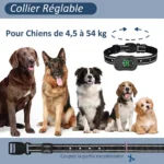 Collier de dressage pour chiens étanche avec radiocommande - portée de 2km