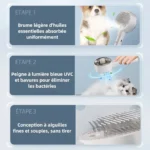 Brosse et peigne de massage et de nettoyage vapeur pour animaux