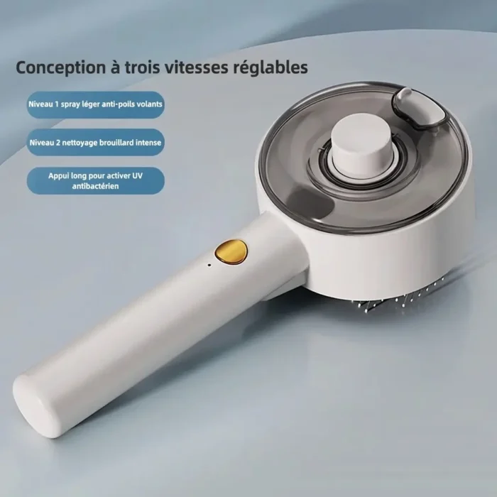 Brosse et peigne de massage et de nettoyage vapeur pour animaux