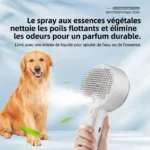 Brosse et peigne de massage et de nettoyage vapeur pour animaux