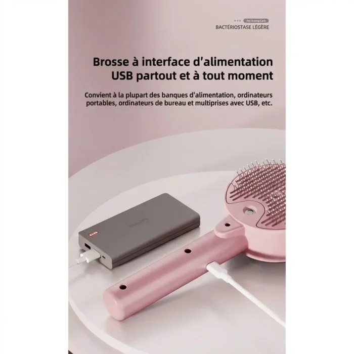 Brosse et peigne de massage et de nettoyage vapeur pour animaux