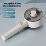Brosse et peigne de massage et de nettoyage vapeur pour animaux