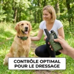 Collier de dressage electrique pour chiens avec télécommande