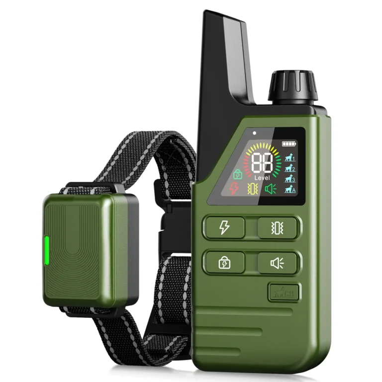 Collier de dressage electrique pour chiens avec télécommande