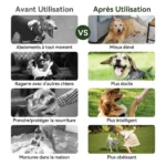 Collier de dressage electrique pour chiens avec télécommande