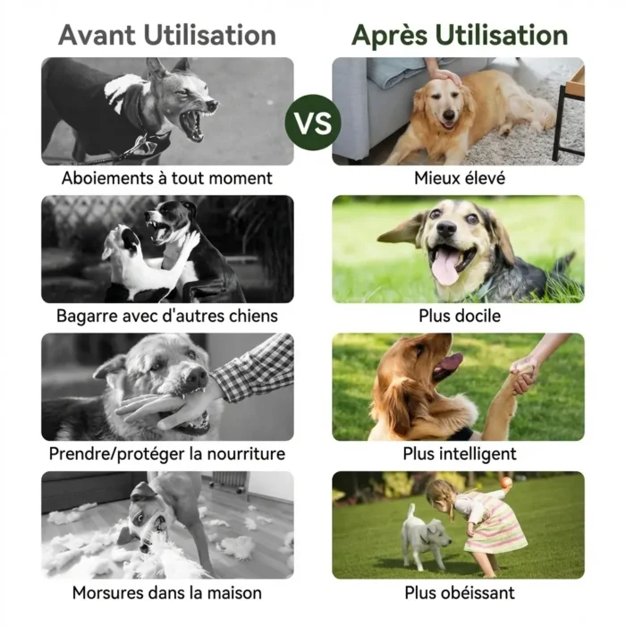Collier de dressage electrique pour chiens avec télécommande