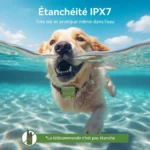 Collier de dressage electrique pour chiens avec télécommande
