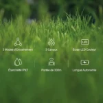 Collier de dressage electrique pour chiens avec télécommande