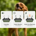 Collier de dressage electrique pour chiens avec télécommande