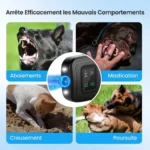 Répulsif pour chiens Ultrasons intelligent