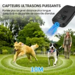 Répulsif pour chiens Ultrasons intelligent